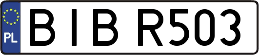 BIBR503