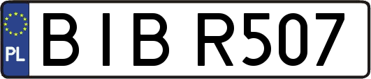 BIBR507