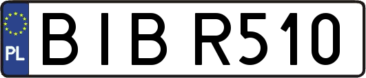 BIBR510