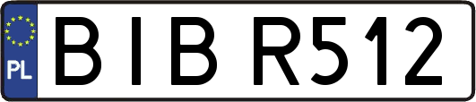 BIBR512