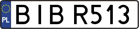 BIBR513