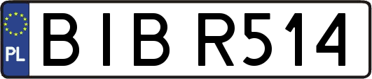 BIBR514