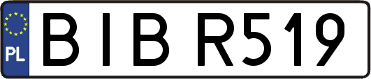 BIBR519