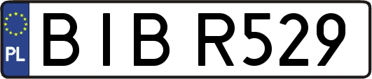 BIBR529