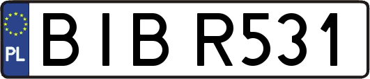 BIBR531
