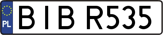 BIBR535