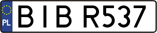 BIBR537