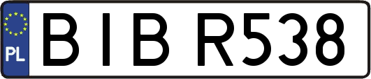 BIBR538