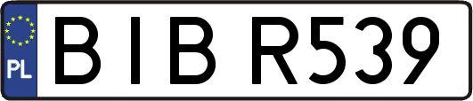 BIBR539