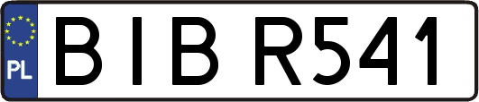BIBR541