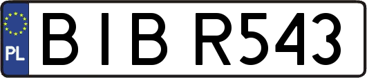 BIBR543