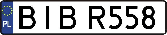 BIBR558