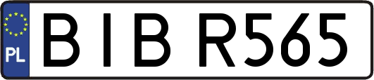 BIBR565