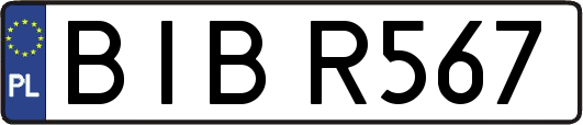 BIBR567