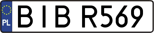 BIBR569