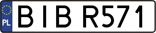 BIBR571