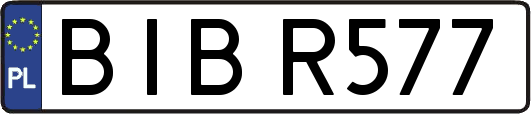 BIBR577