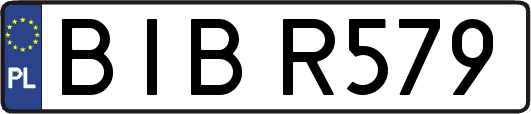 BIBR579