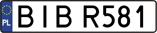 BIBR581
