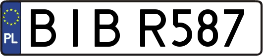 BIBR587