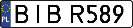 BIBR589