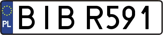 BIBR591
