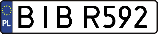 BIBR592