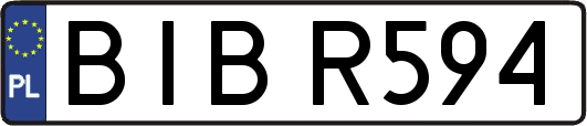 BIBR594