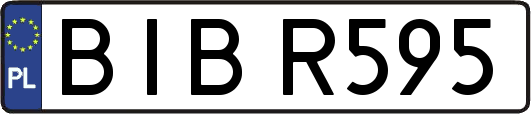 BIBR595