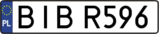 BIBR596