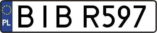 BIBR597