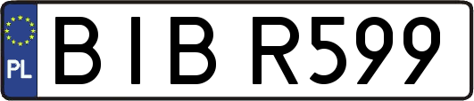BIBR599