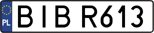 BIBR613