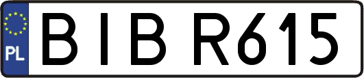 BIBR615