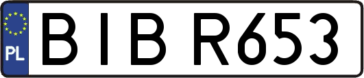 BIBR653