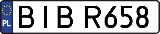 BIBR658