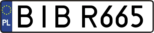 BIBR665