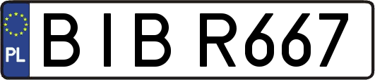 BIBR667