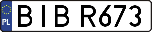 BIBR673