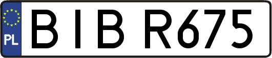 BIBR675