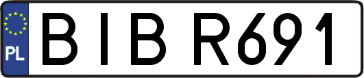 BIBR691