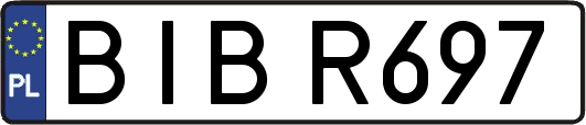 BIBR697