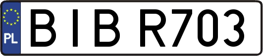 BIBR703