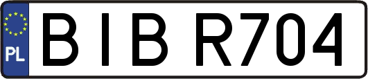 BIBR704