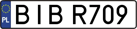 BIBR709