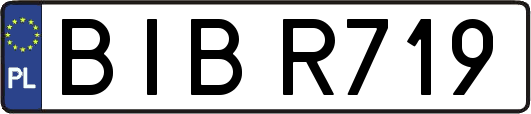 BIBR719