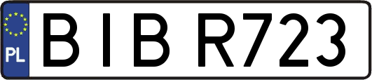 BIBR723