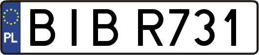BIBR731
