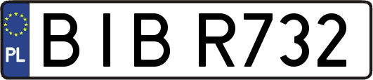 BIBR732