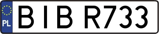 BIBR733